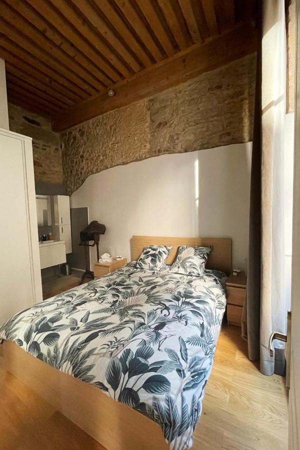 Coeur Vieux Lyon, 60 M2 Lumineux Tout Confort Εξωτερικό φωτογραφία